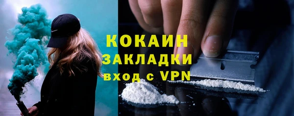 бошки Ладушкин