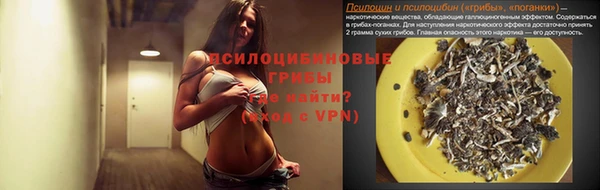 дживик Лагань