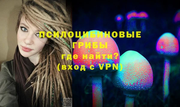 бошки Ладушкин