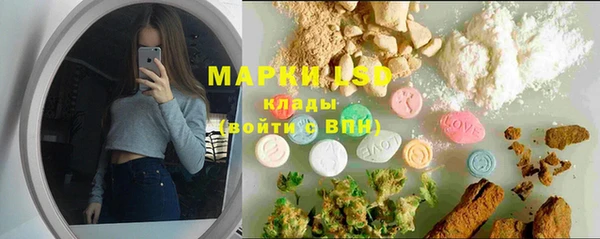 бошки Ладушкин