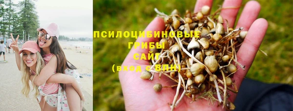 дживик Лагань
